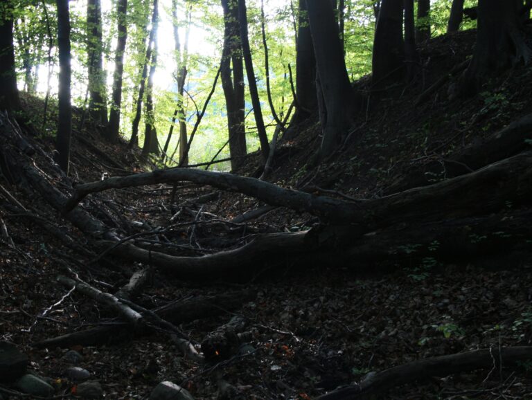ablauf_des_schliesees_im_september_2014