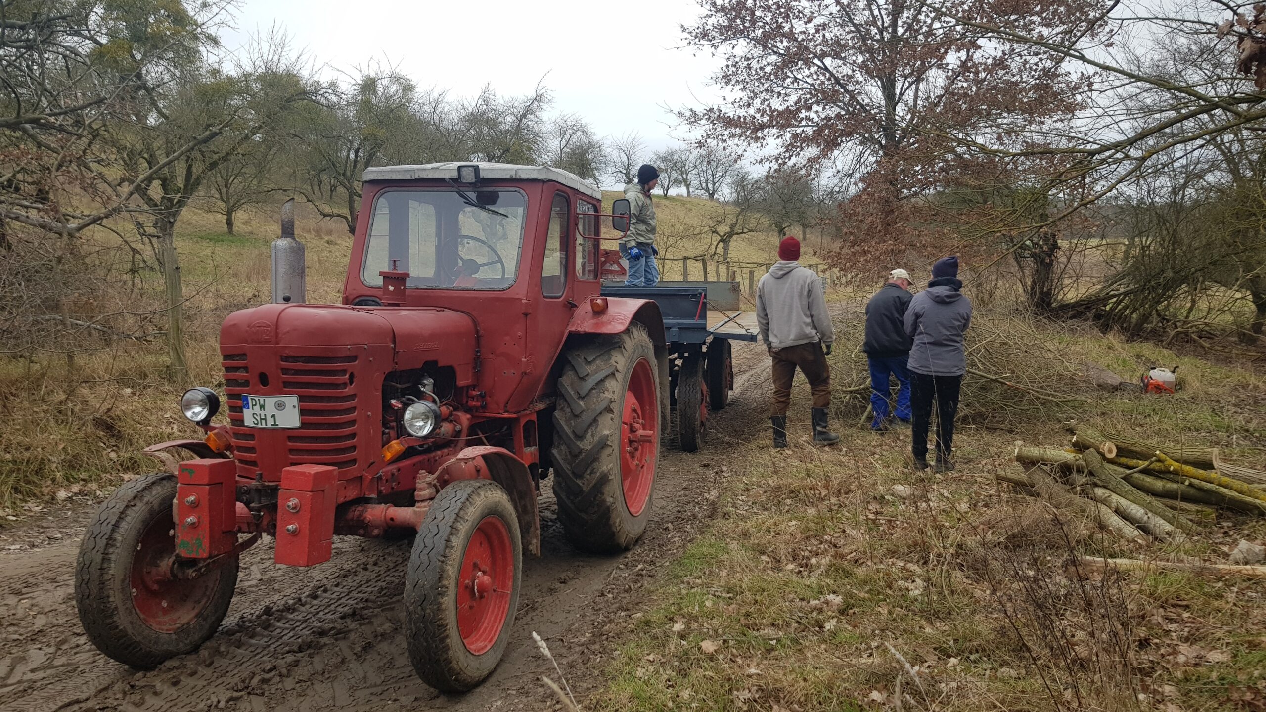 Erfolgreicher Arbeitseinsatz in der Radewitzer Heide