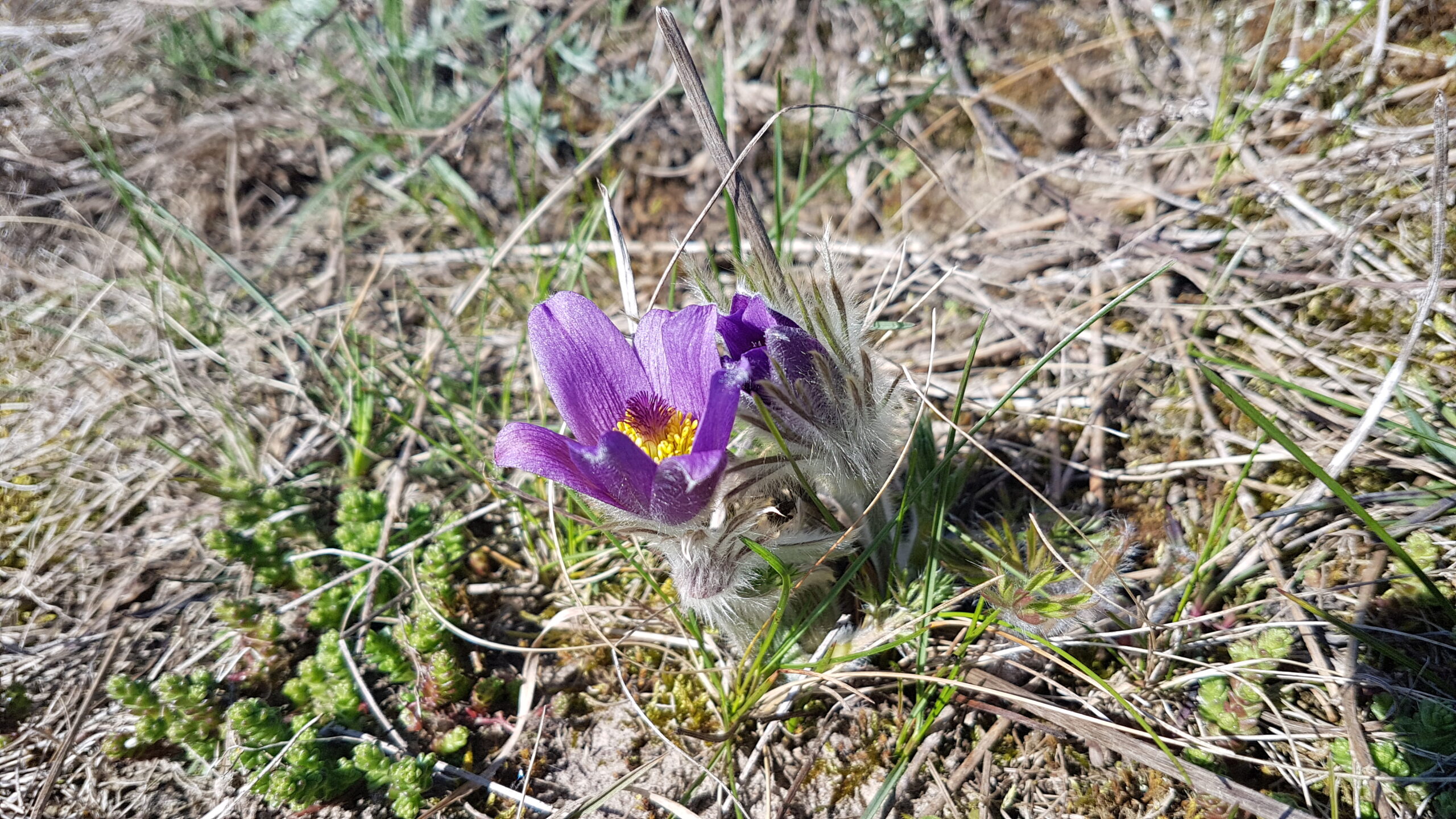 Flächenarrondierung von Waldflächen im Müritz-Nationalpark