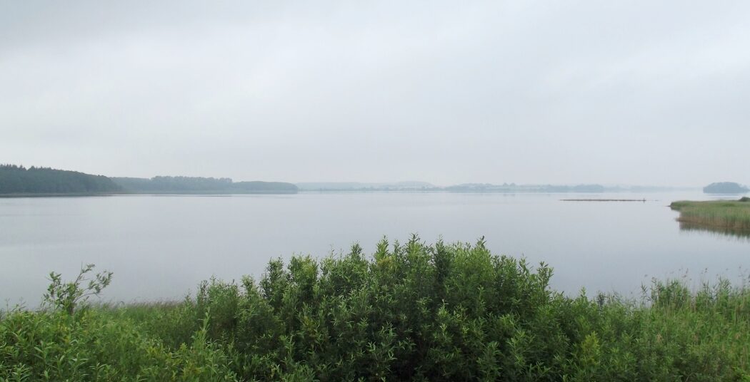 bild_002