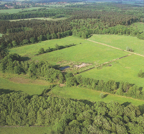 o-nsg-togerwiesen-bei-garlitz-bild2