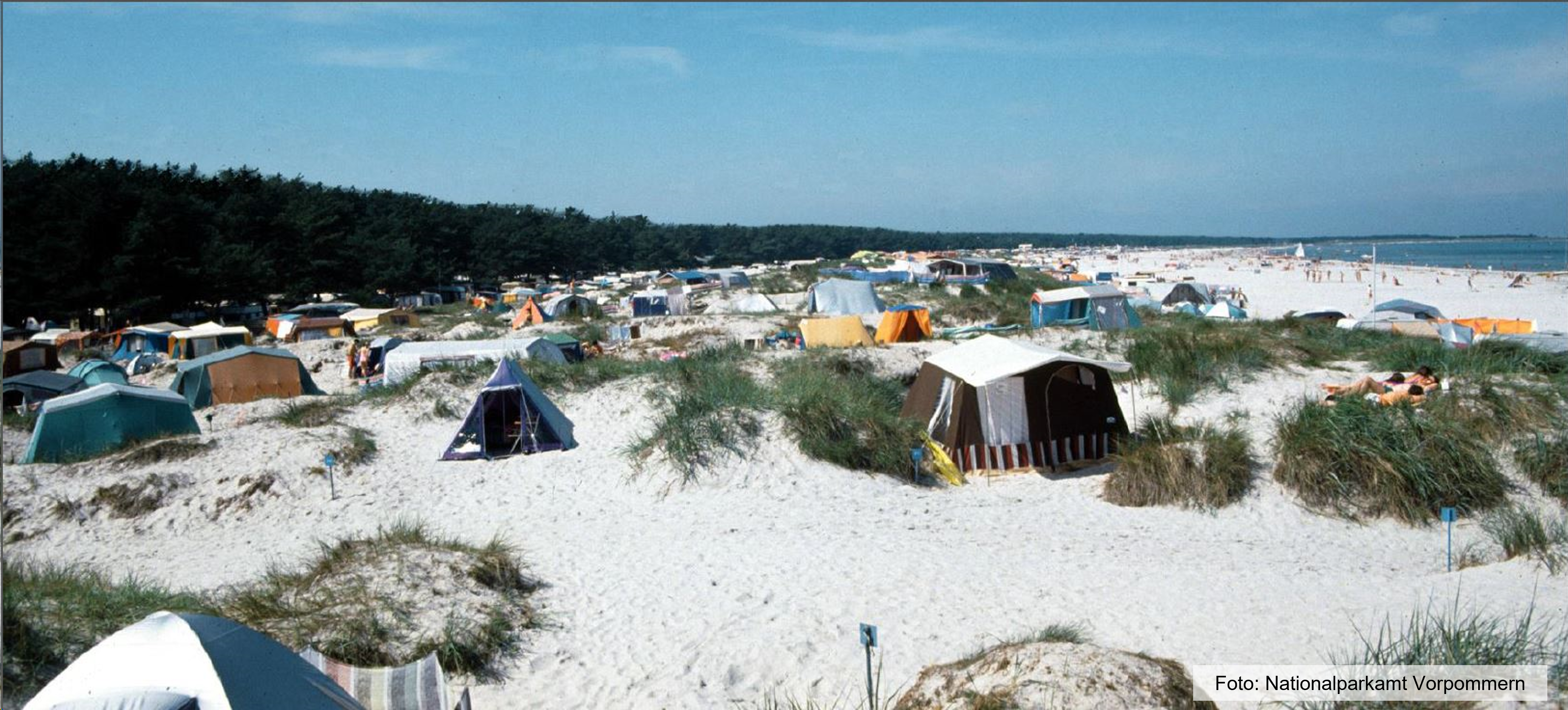 Campingplatz Prerow: Auswahlverfahren erfolgreich abgeschlossen