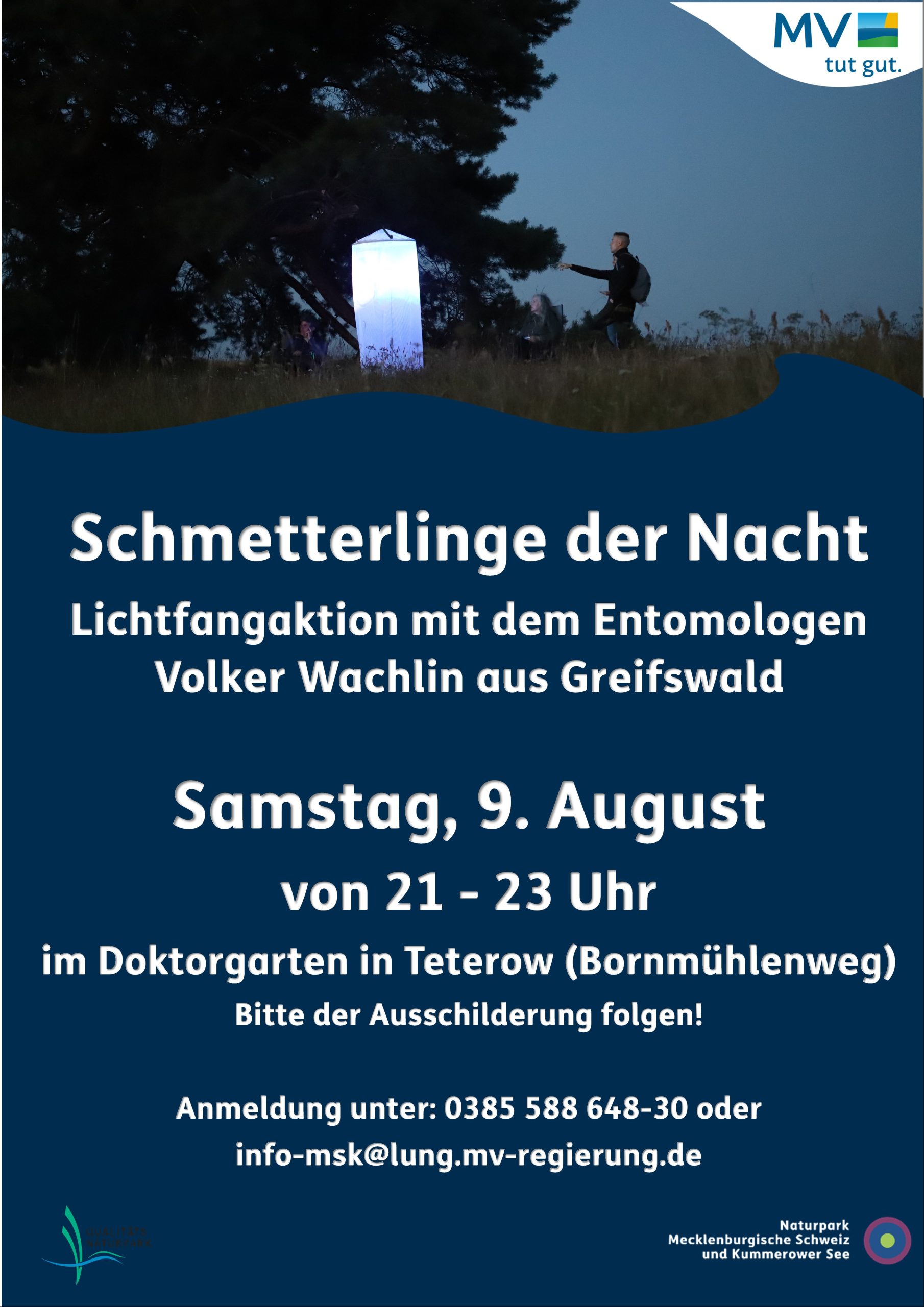 Schmetterlinge-Lichtfangaktion