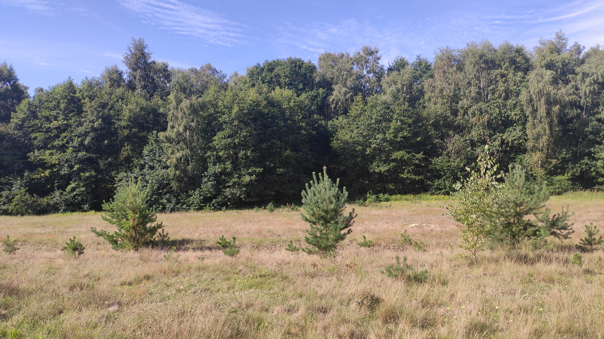 Naturschutz zum Anpacken in Herrnburg am 27.9.2025