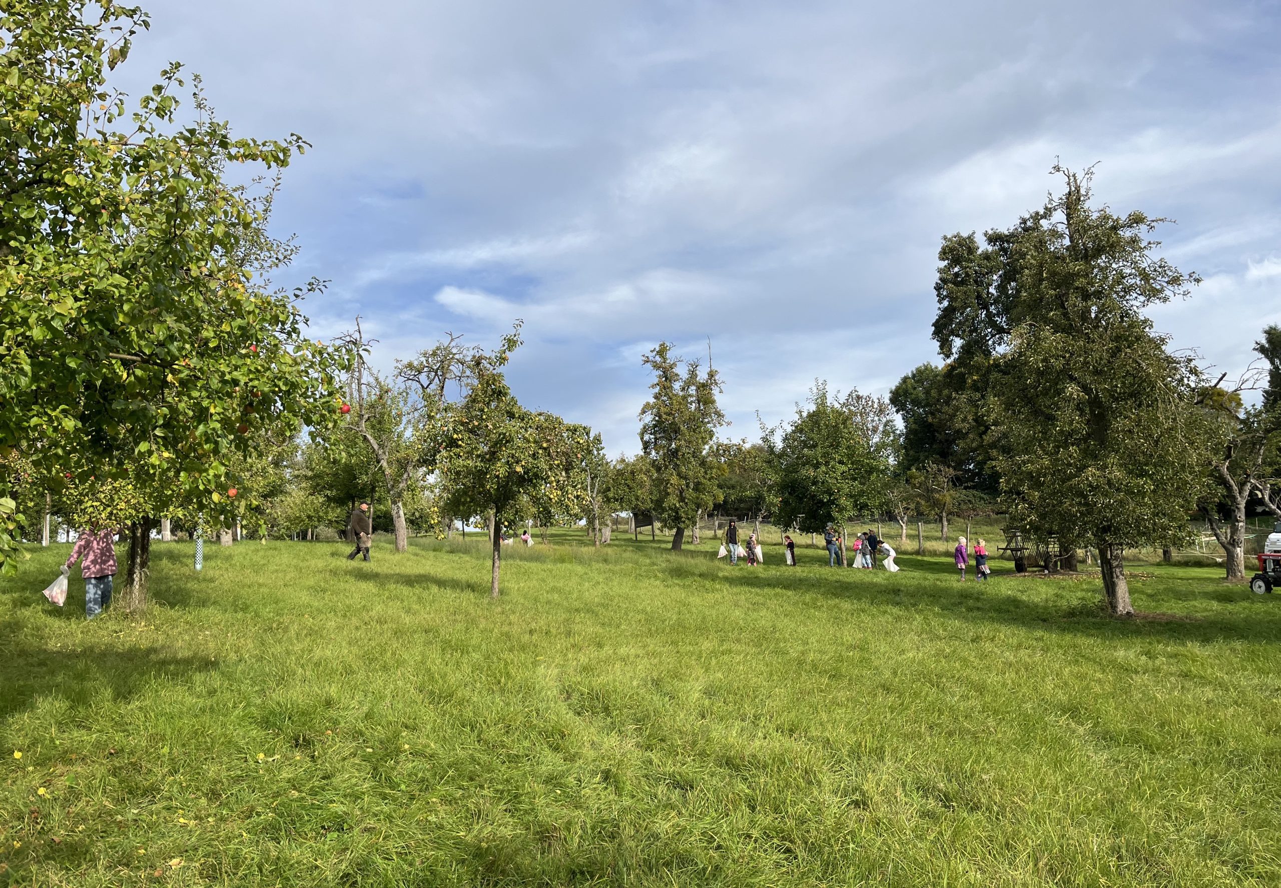 8. Apfeltag im Doktorgarten Teterow