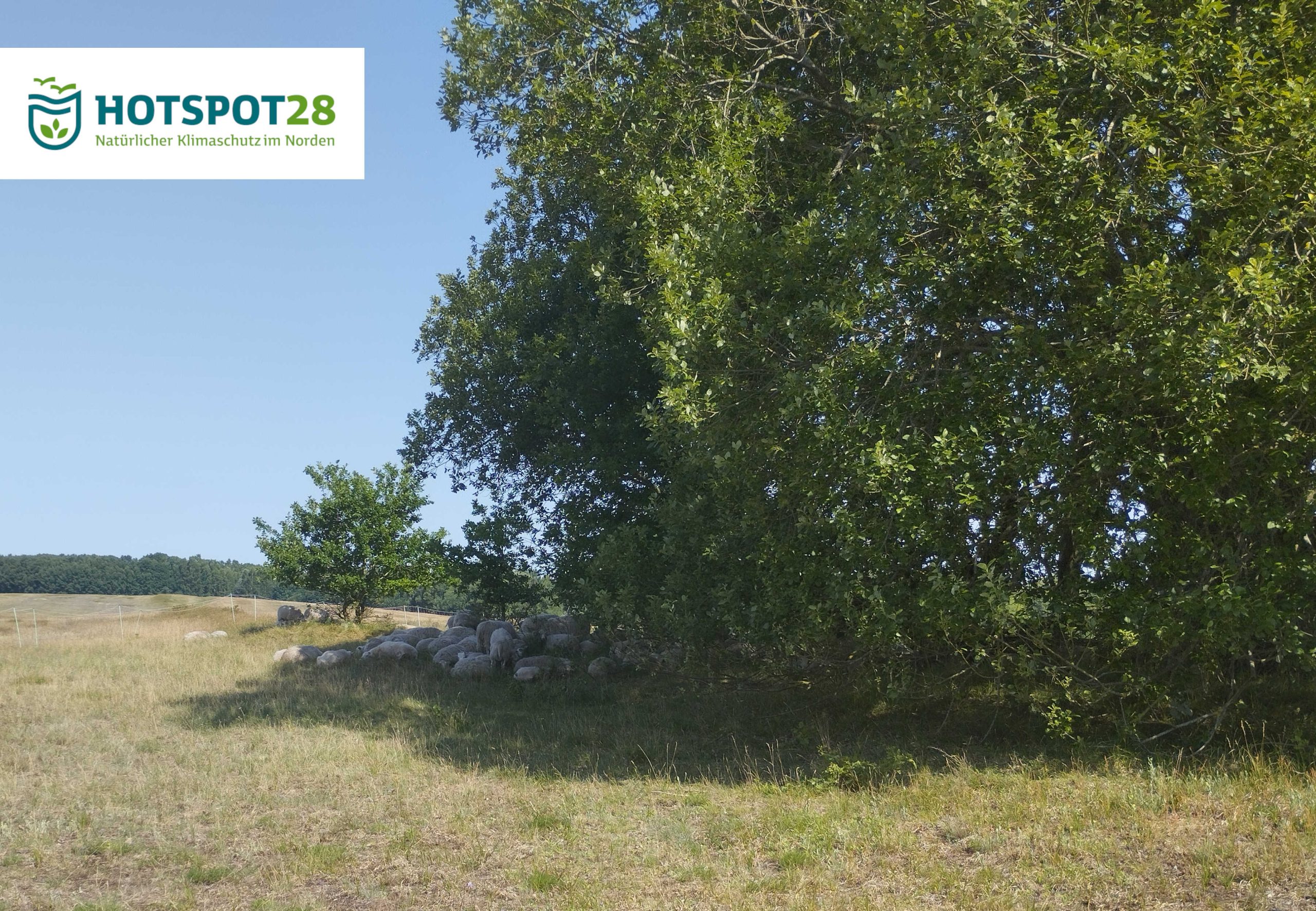 HOTSPOT28 „Natürlicher Klimaschutz im Norden“