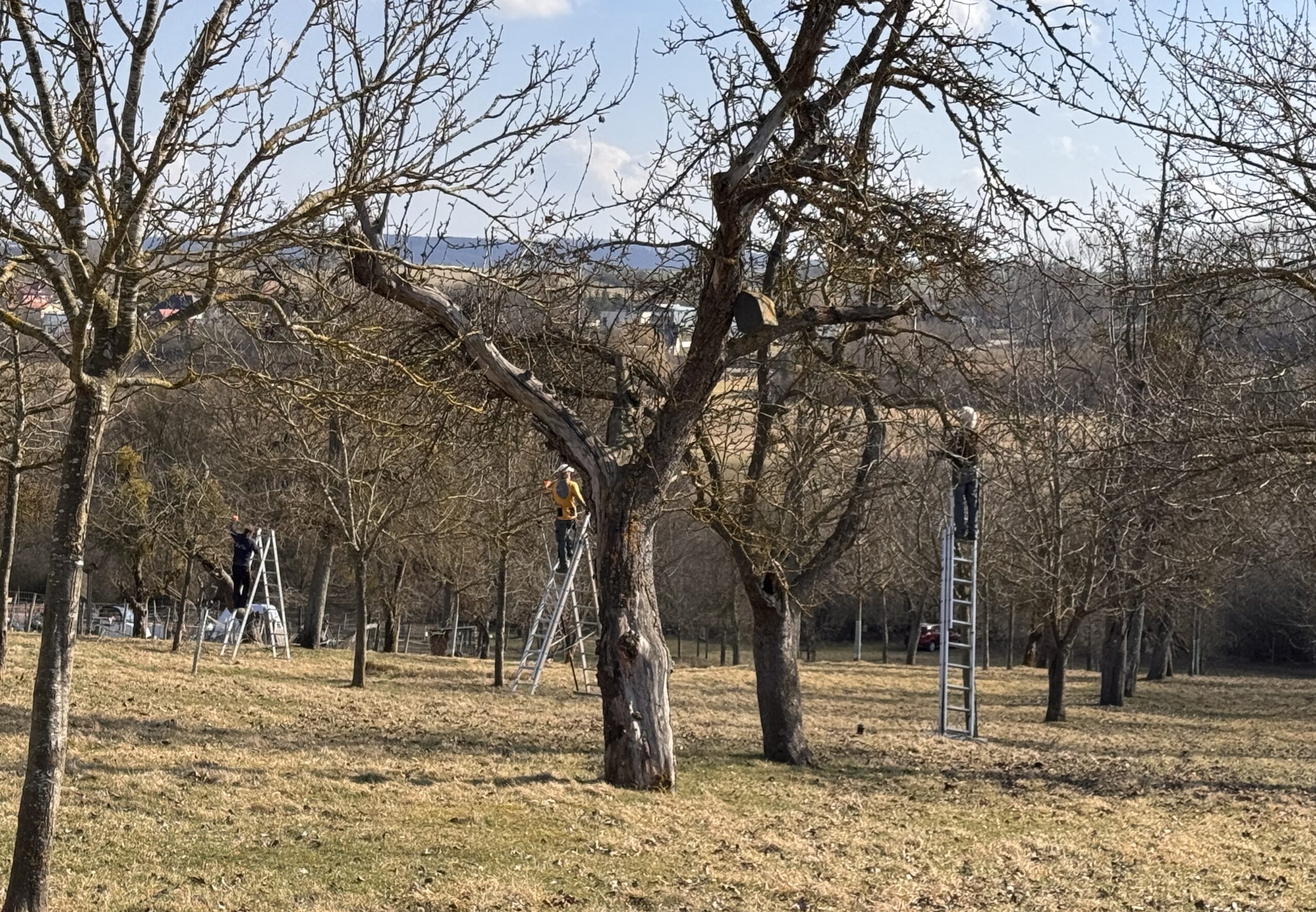 Frühjahrsaktion im Doktorgarten Teterow                                           