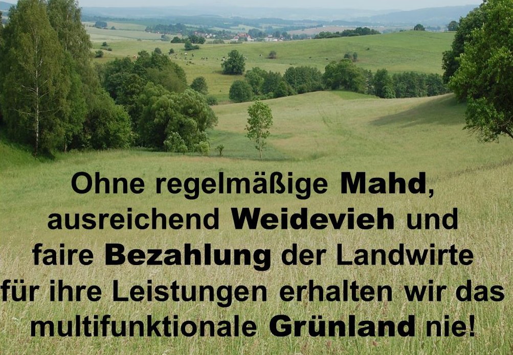 Mitzeichnung Positionspapier Weidetierhaltung