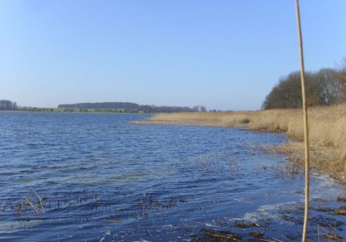 21. September 2025 | Entdeckungstour „Buchen, Bodden und schöne Aussichten“