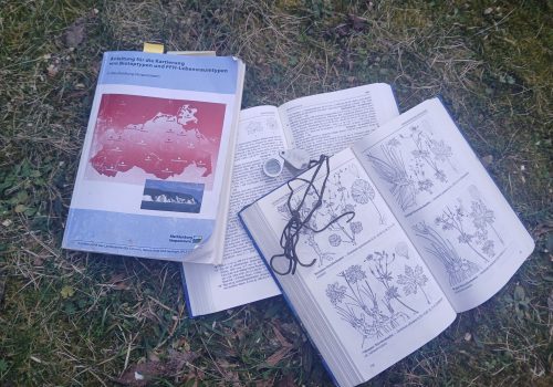 23. Mai 2026 | Grundlagen der Biotopkartierung in der Palinger Heide