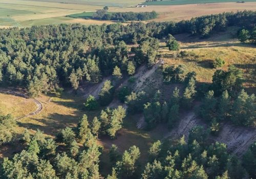 15. August 2026 | Naturkundliche Wanderung im Gebiet  „Schwarze Berge bei Grünz“