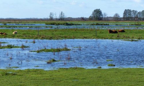 hochwasser_im_gebiet