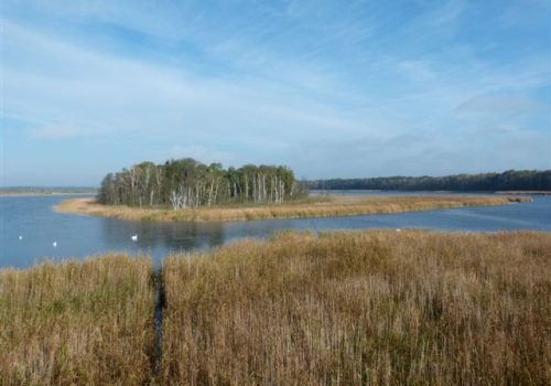 13. Juni 2026 | Geführte Wanderung „Leben am See“
