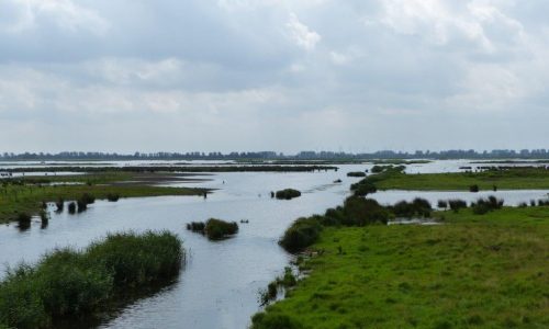 uebergangszone_land-wasser